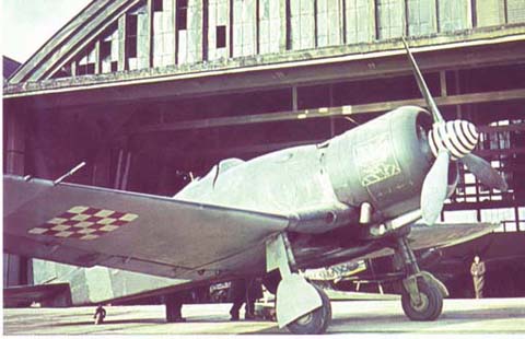 Zračna luka Borongaj, Fiat G.50bis ustaške eskadrile ispred hangara